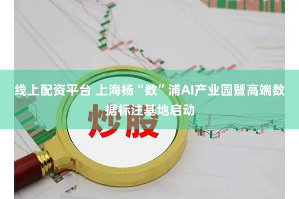 线上配资平台 上海杨“数”浦AI产业园暨高端数据标注基地启动
