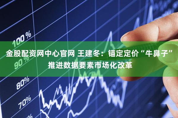 金股配资网中心官网 王建冬：锚定定价“牛鼻子” 推进数据要素市场化改革